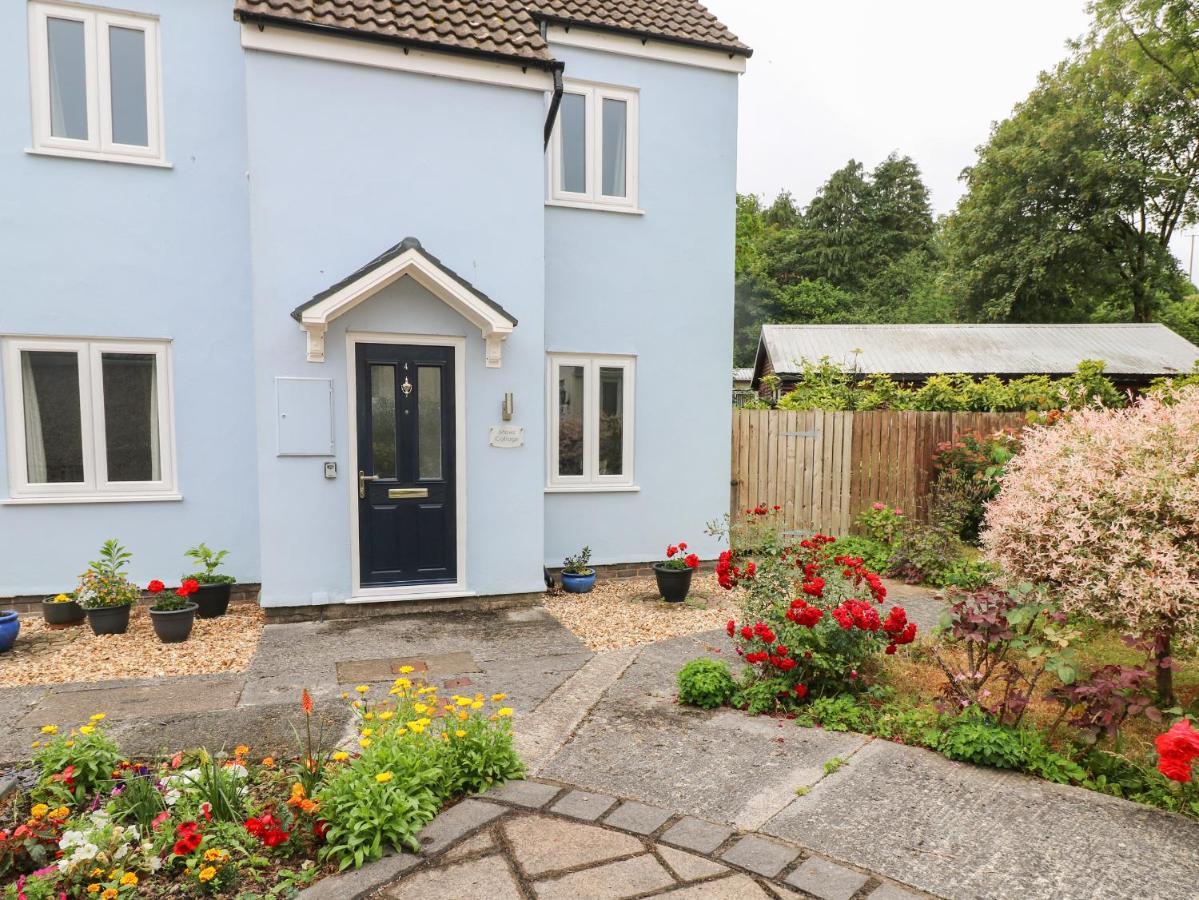 Mews Cottage Carmarthen Zewnętrze zdjęcie