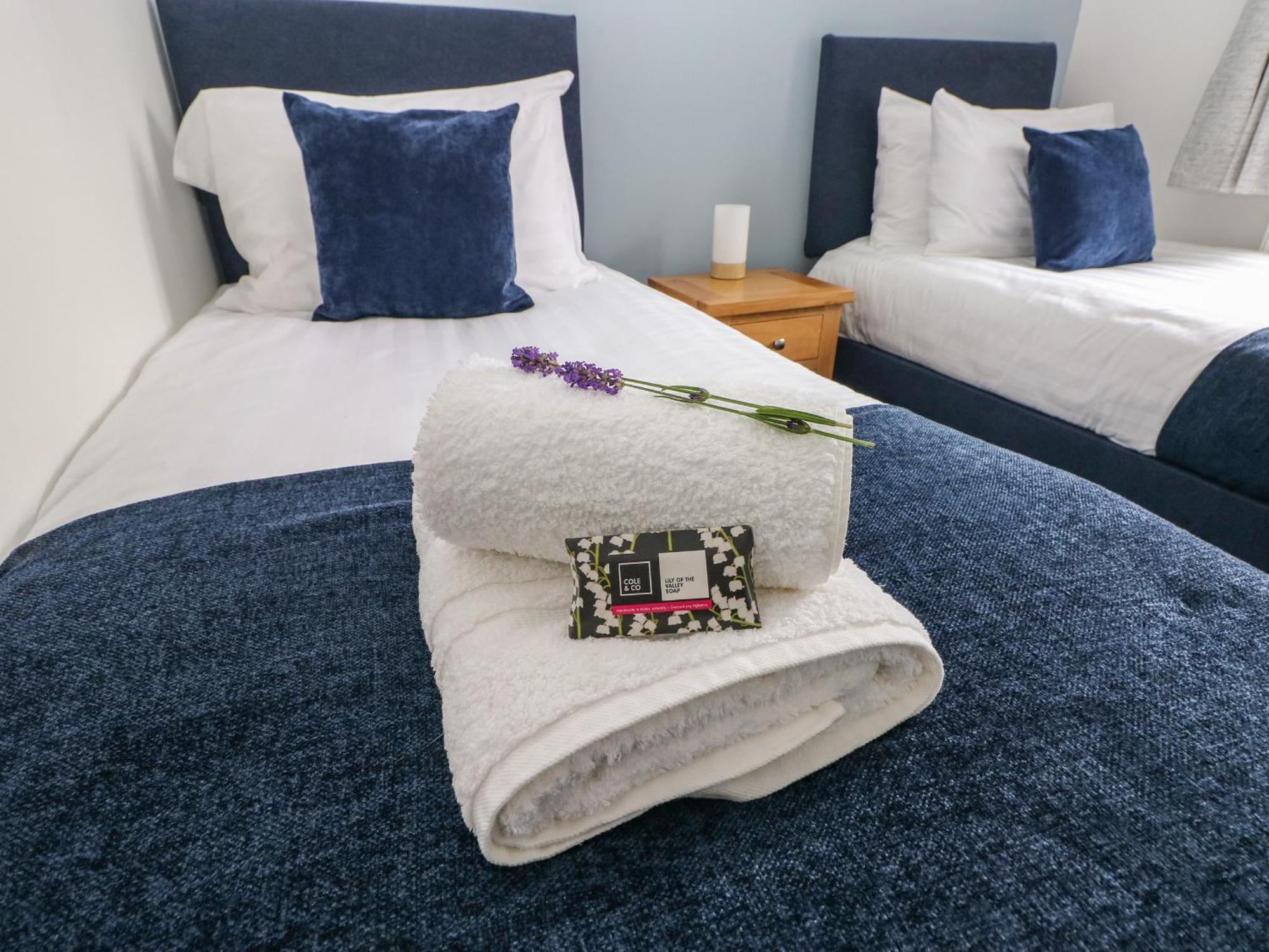 Mews Cottage Carmarthen Zewnętrze zdjęcie